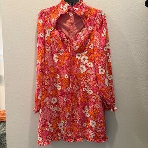 Fashion Nova Dress | size L